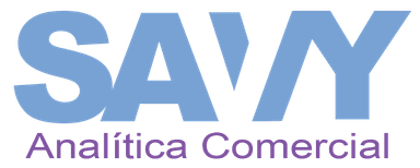 SAVVY Logo